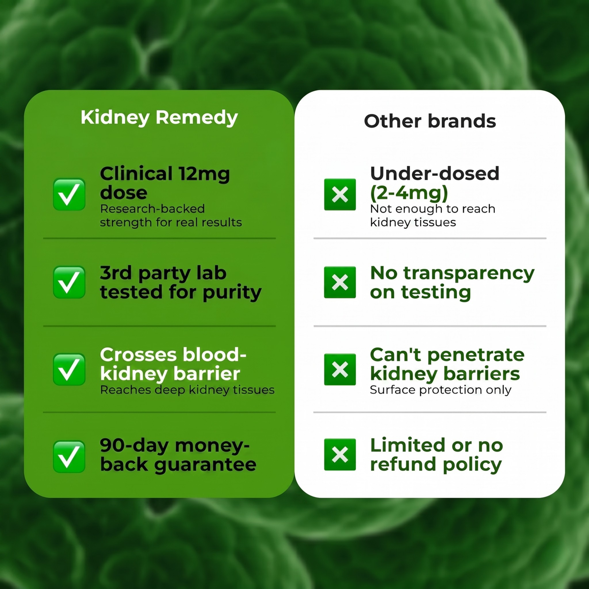 Kidney Remedy Herbal Therapy [Sarsaparilla, Seamoss, Dandelion]