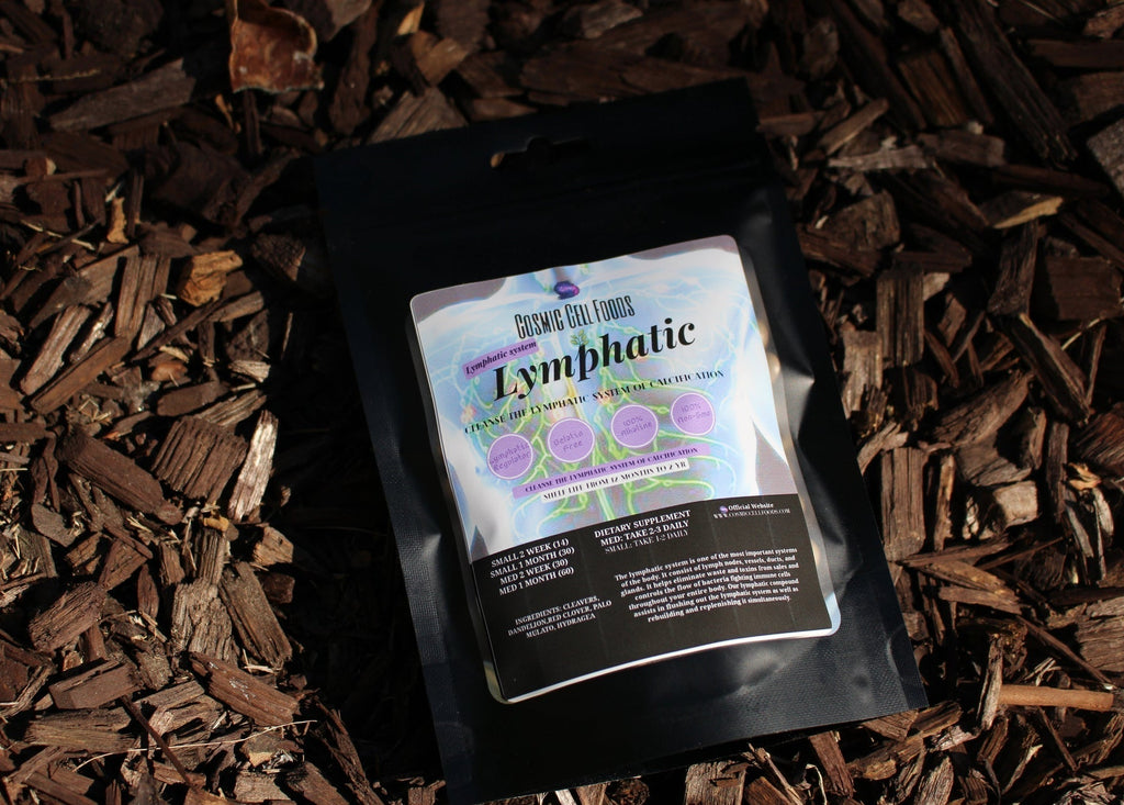"The Post Thanksgiving Bundle" - Natural Longevity For The Winter