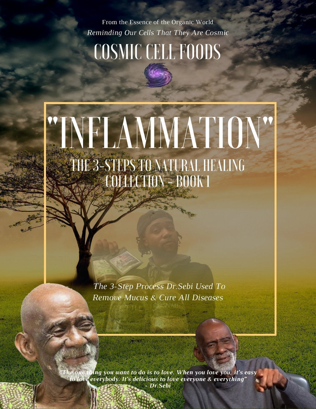 "Inflammation" The 3-Steps To Healing Book Collection - Book 1 - The Cosmic Chef